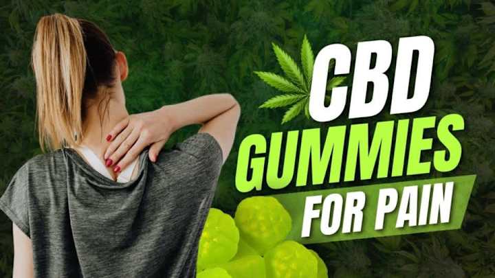 Cover image for EverGreen Farms CBD Gummies (Consumer Reports, Price Scam)