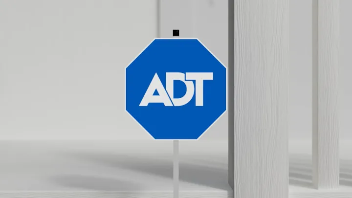 Cover image for ADT Google M1-5 Sizzle