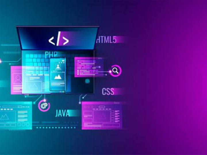Cover image for Word Press Developer