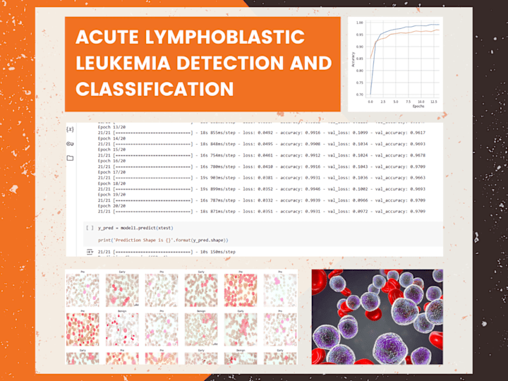 Cover image for Acute Lymphoblastic Leukemia Detection and Classification | Data