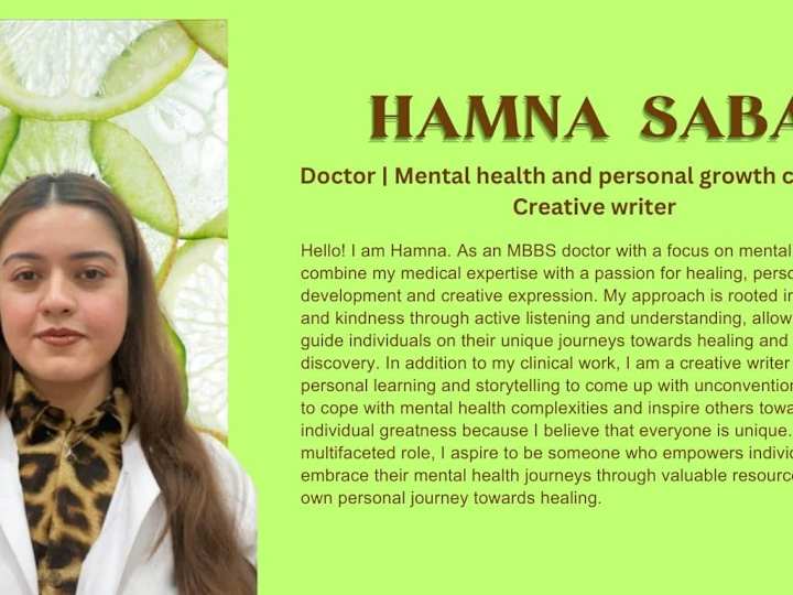 Cover image for HAMNA’S PORTFOLIO