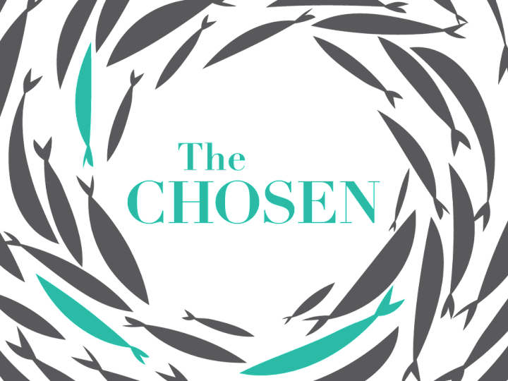 Cover image for The Chosen