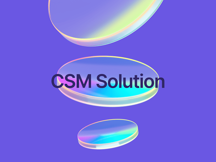 Cover image for Crafting an internal CSM solution to assist growth