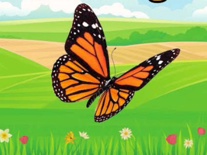 Cover image for Bella and the Big Change - YouTube