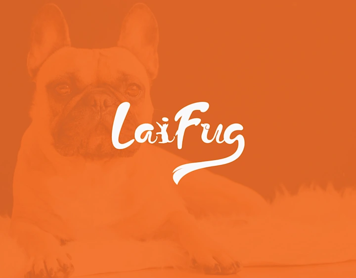 Cover image for LaiFug - Brand style guide
