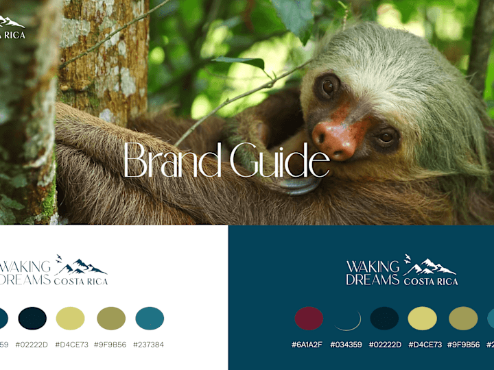 Cover image for Brand Guide | Waking Dreams Costa Rica