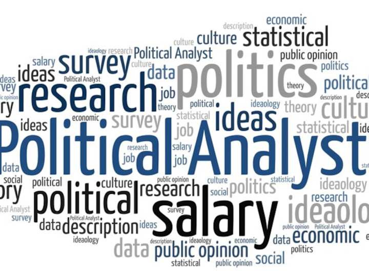 Cover image for political analyst