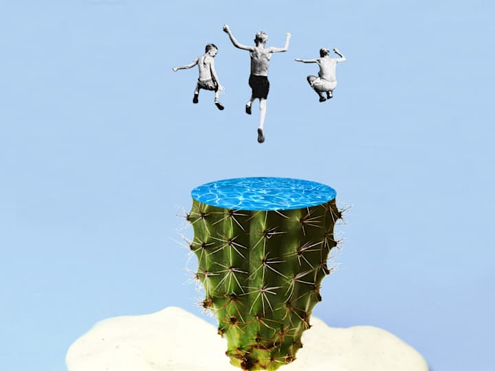 Cover image for Irony in Fun - Selection of Images