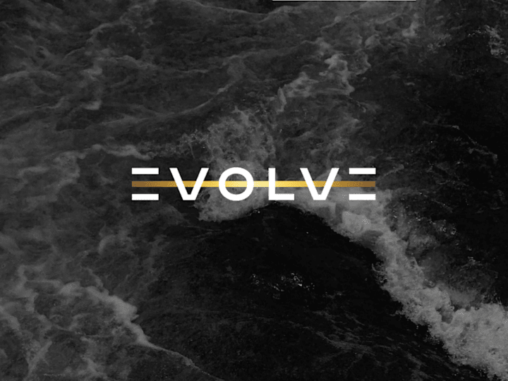 Cover image for Brand Identity EVOLVE