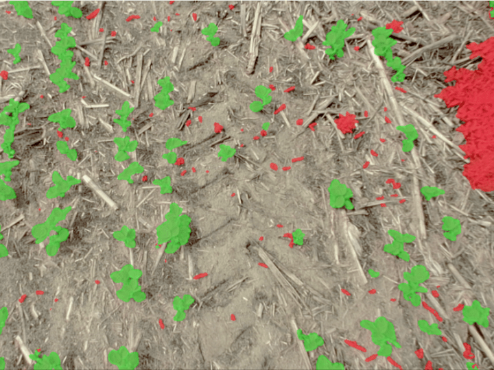 Cover image for Crop/Weed Image Segmentation and Analysis (2022)