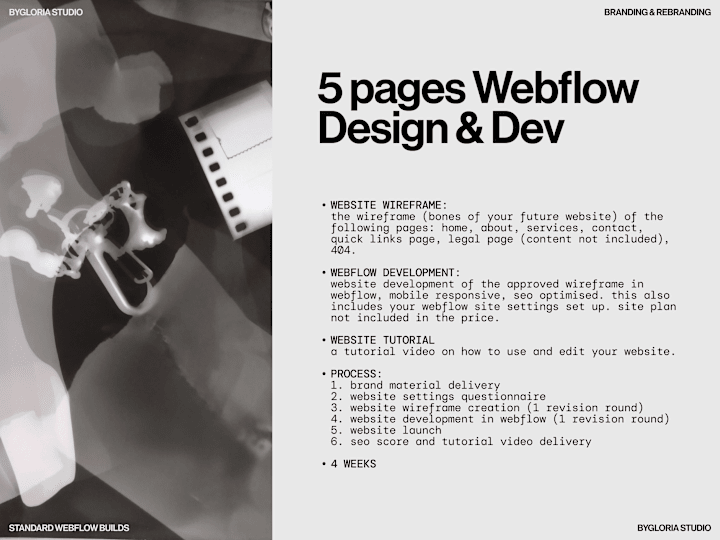 Cover image for 5 pages Webflow Website Design & Development