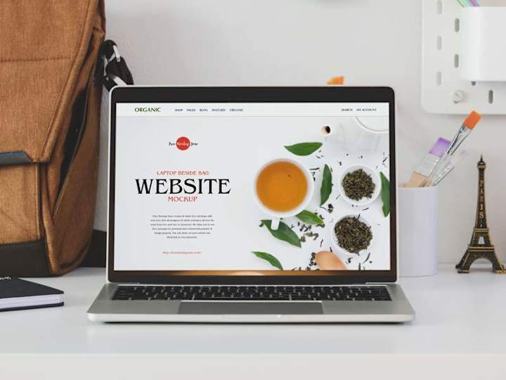 Cover image for Developing Any Complex Website in WordPress