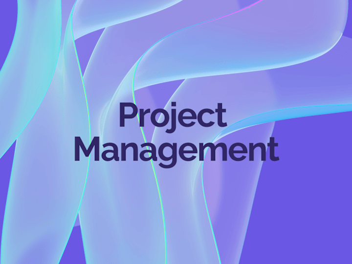 Cover image for Project Management