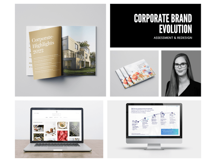 Cover image for Corporate Brand Evolution: Assessment & Redesign Service