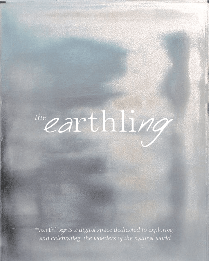 Cover image for The Earthling - Mini Branding