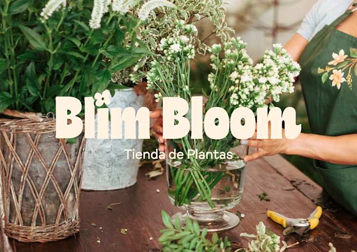 Cover image for Blim Bloom | Plant Store Identity Design
