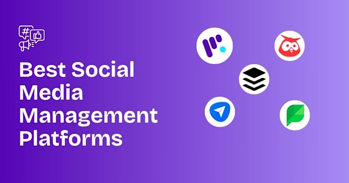 Cover image for 5 Best Social Media Management Platforms in 2024