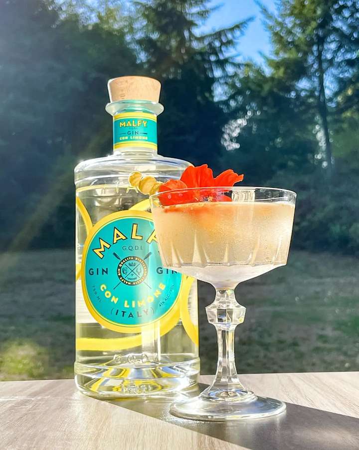 Cover image for Cocktails With Adele: Malfy Gin