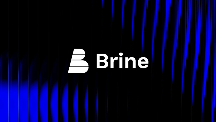 Cover image for Brine Identity :: Behance