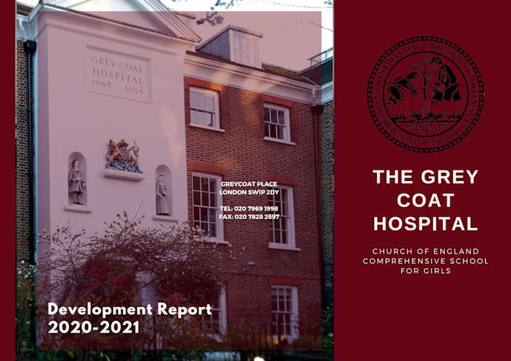 Cover image for Development Report