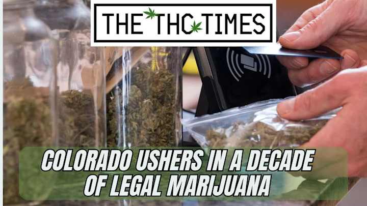 Cover image for Colorado Ushers in a Decade of Legal Marijuana