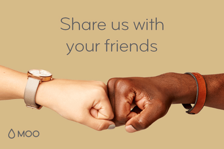 Cover image for MOO's Referral Program