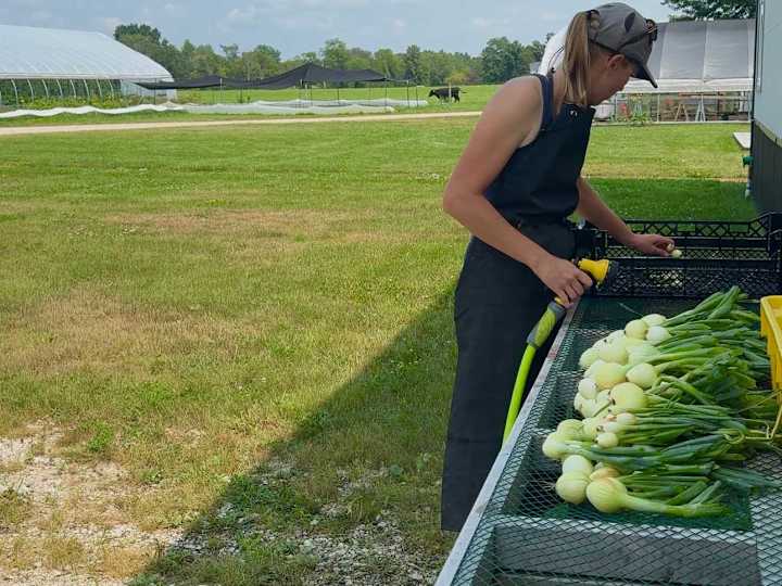 Cover image for Harvesting Community: Discover the Heart Behind Your Food 