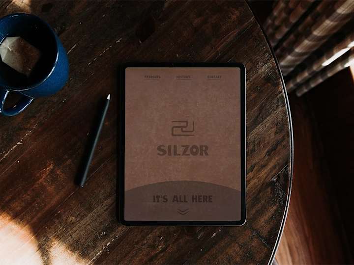 Cover image for Silzor | Visual Identity