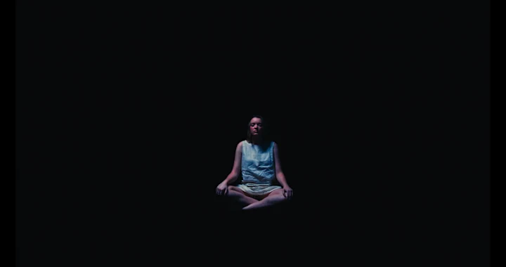 Cover image for THE MEDITATOR