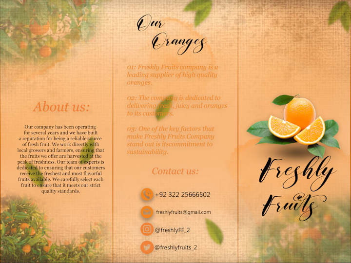 Cover image for Try Fold Business Brouchure.