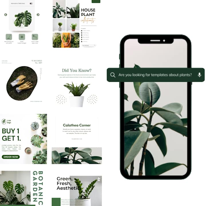 Cover image for Social Media Content House Plant