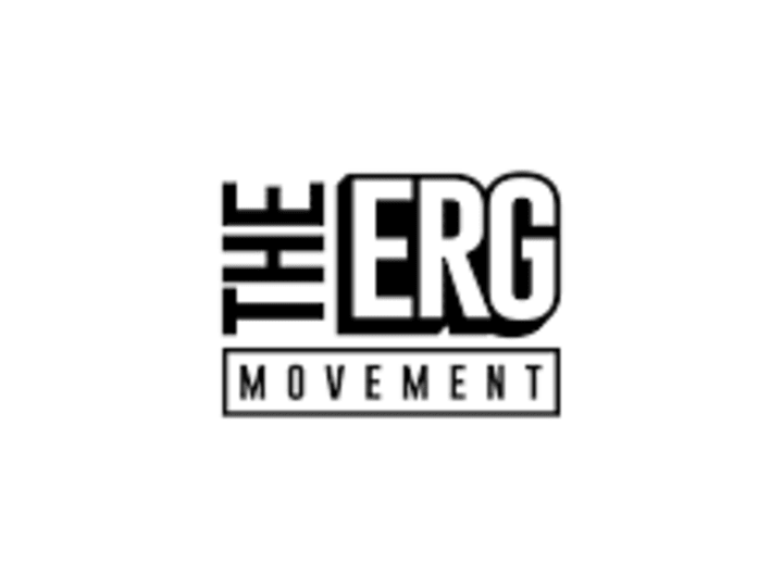 Cover image for THE ERG MOVEMENT