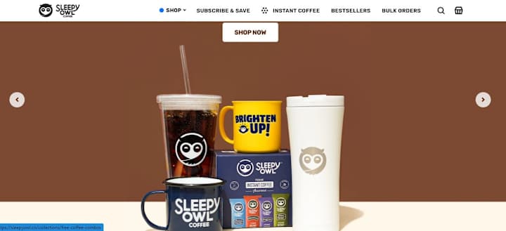 Cover image for Shopify Webiste