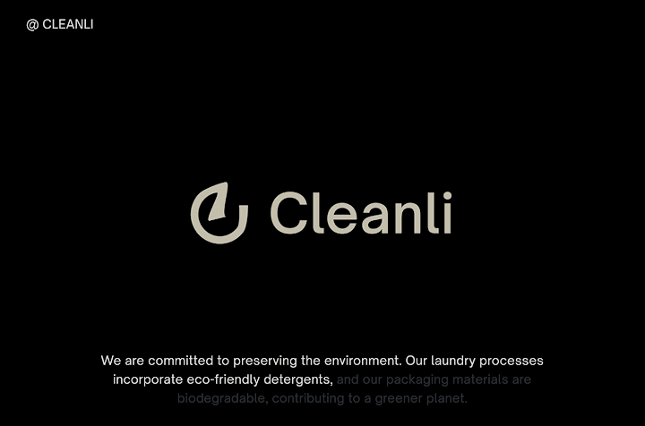 Cover image for Cleanli