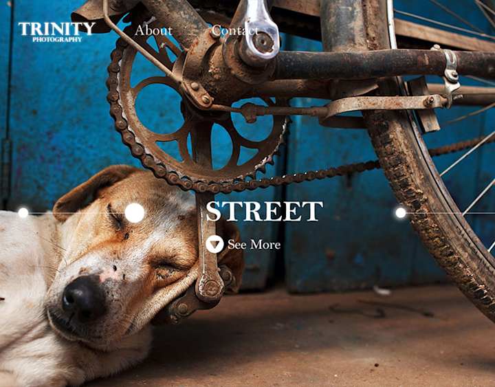 Cover image for Trinity Photography - Website Design :: Behance