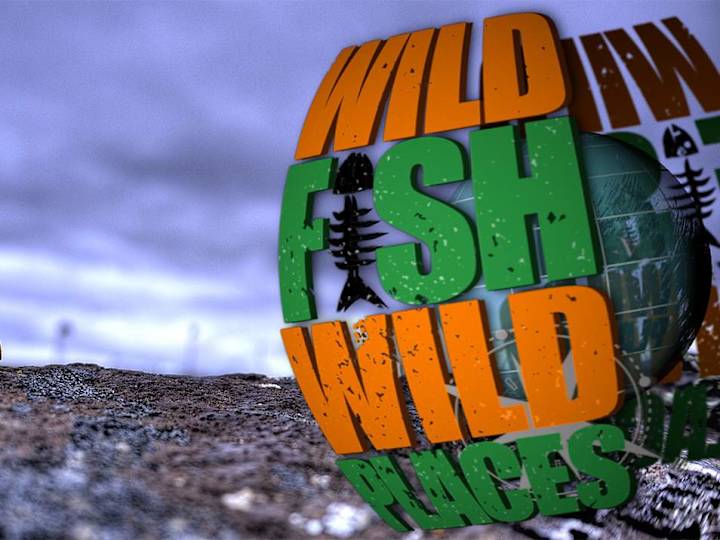 Cover image for WILD FISH WILD PLACES opener