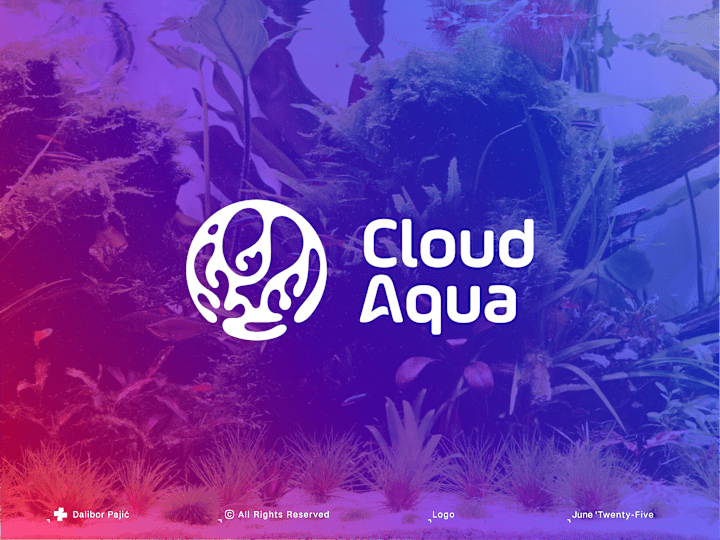 Cover image for CloudAqua, Transforming Aquascaping in the UK