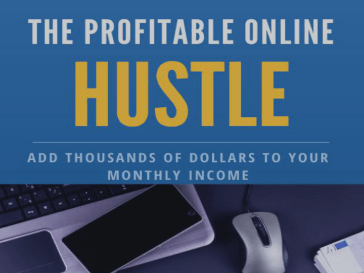 Cover image for The Profitable Online Hustle