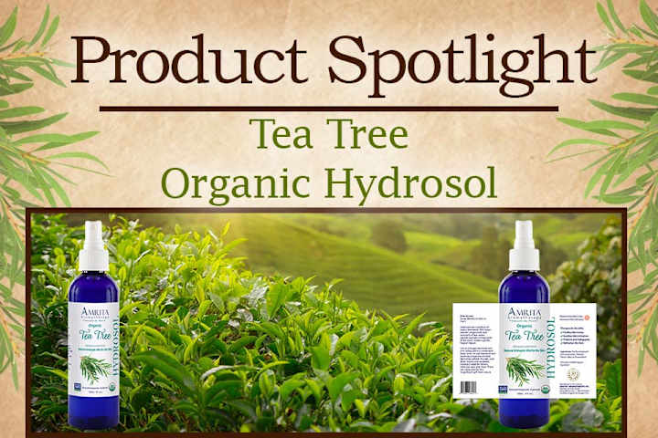 Cover image for Launch of Tea Tree Hydrosol by Amrita Aromatherapy