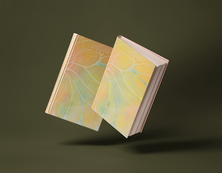 Cover image for Reimagining The Metamorphosis