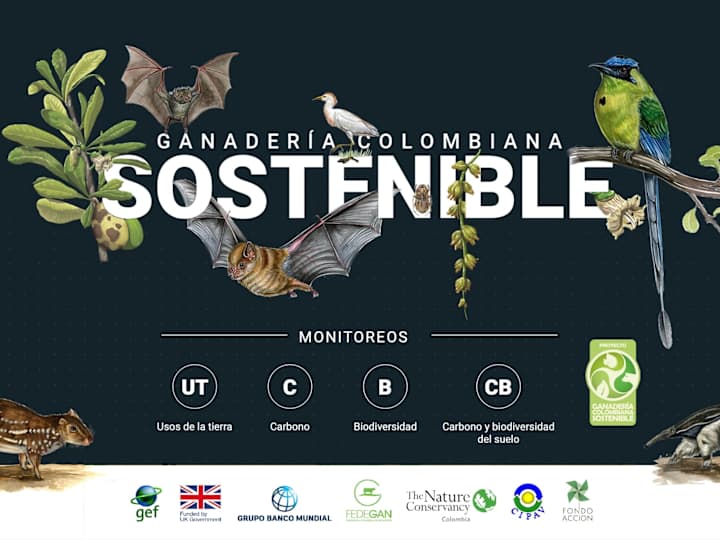 Cover image for Ganadería Colombiana Sostenible (2018 - 2020)