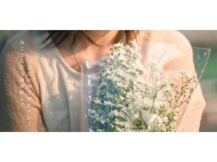 Cover image for Sunlight April