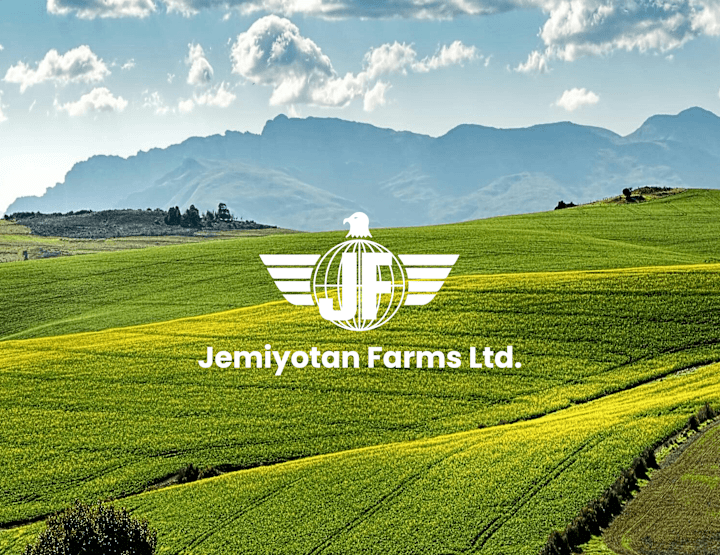 Cover image for Jemiyotan Farms Ltd.| Visual Identity | Logo Design