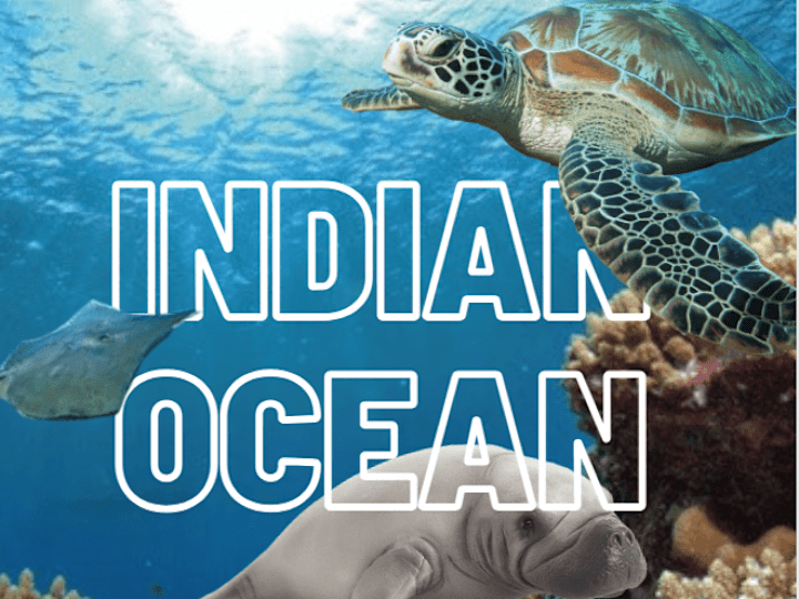 Cover image for Indian Ocean Zoo Poster