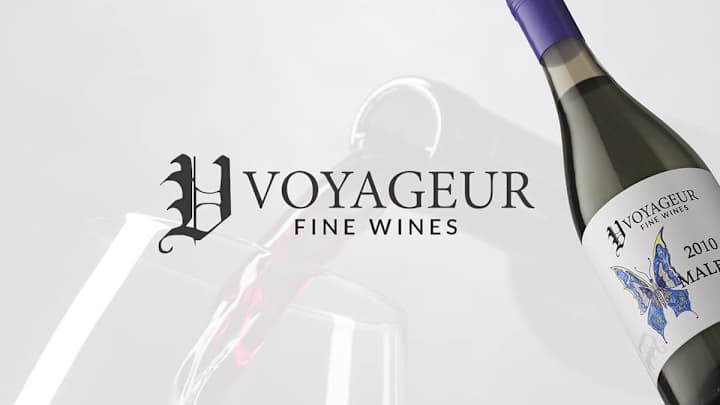 Cover image for Voyaguer Website