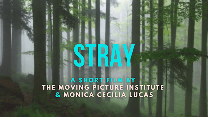 Cover image for Short Film Pitch Deck