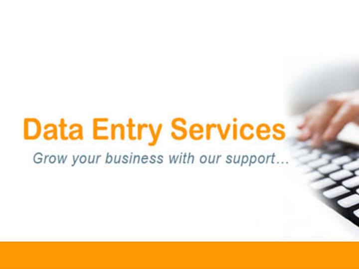 Cover image for Data Entry Project Management