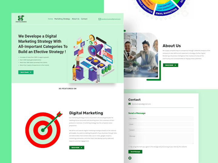 Cover image for Digital Snakes Website Design
