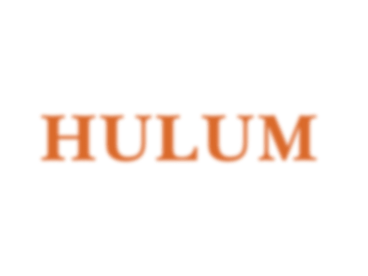 Cover image for Hulum - The Dream Insight. Illustrated dream dictionary 