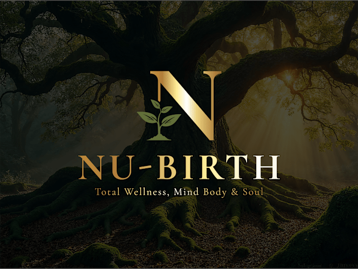 Cover image for Nu-Birth LLC. Visual Identity 